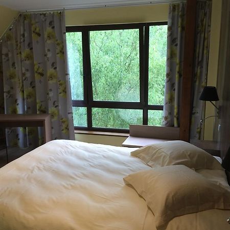 玛丽住宿加早餐旅馆 Seltz 外观 照片